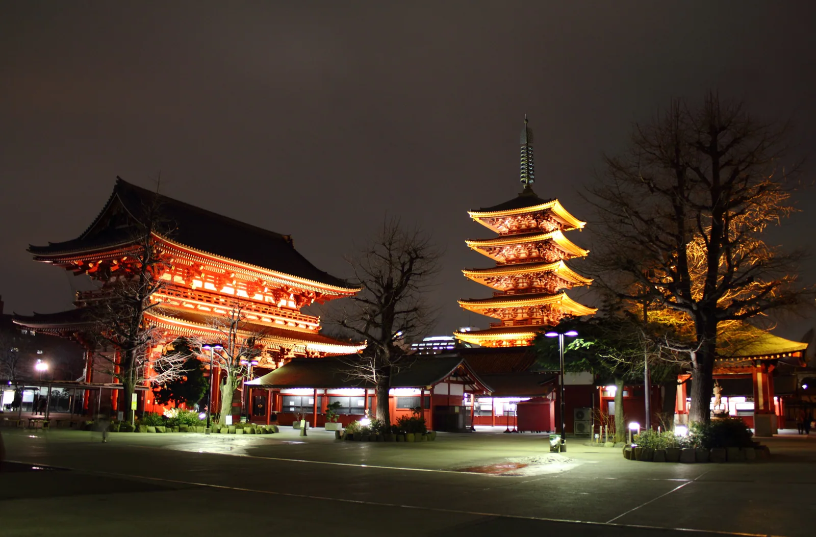 Sensoji Temple and the five-storied pagoda lit at night in Tokyo